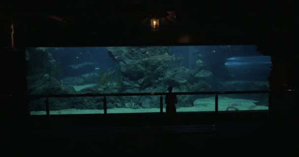 Γυναίκα στην Μπανγκόκ, Ταϊλάνδη στο oceanarium της Ocean World Σιάμ τραβάτε φωτογραφίες σε δισκίο των ψαριών — Αρχείο Βίντεο