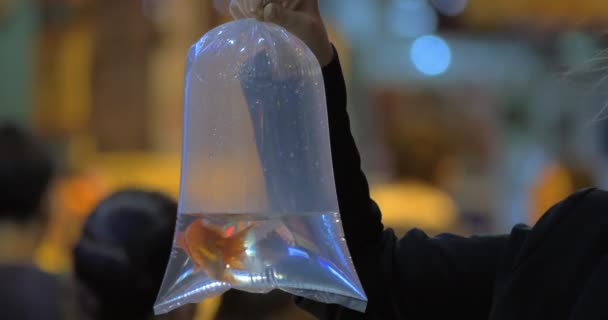 Mujer sosteniendo bolsa de plástico con peces de colores en la calle — Vídeos de Stock