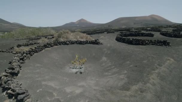 Panoramisch uitzicht op La Geria — Stockvideo