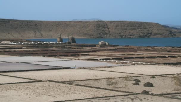 Salinas de Janubio — Vídeo de Stock