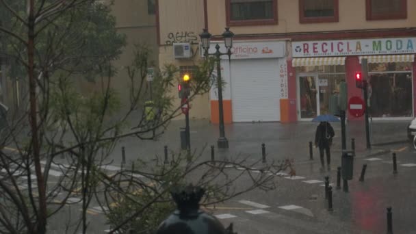 Een voorbijganger met een paraplu op een kruispunt — Stockvideo