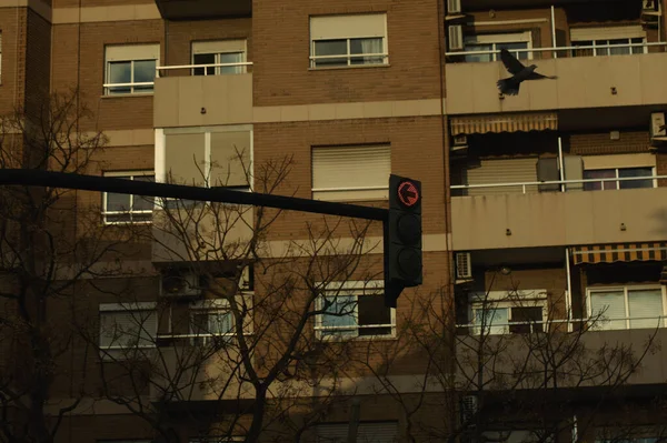 Semáforo frente a un bloque de apartamentos —  Fotos de Stock
