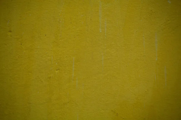 Deep olive green painted wall background — Stock Photo, Image