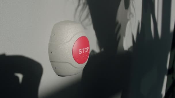 Enfant appuyant sur le bouton Stop d'un bus — Video