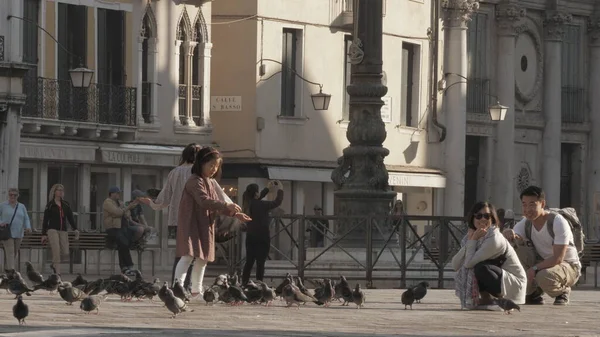 Niña asiática alimentando palomas en Venecia, Italia — Foto de Stock