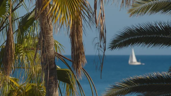 Una vela blanca en un mar azul — Foto de Stock