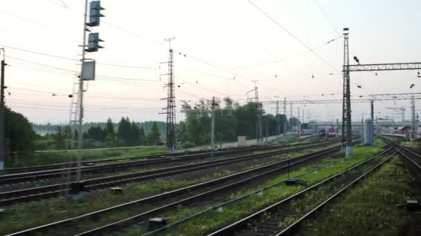 Tåget anländer till stationen — Stockvideo