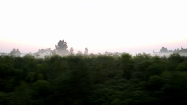 Passando pelo campo em um nevoeiro — Vídeo de Stock