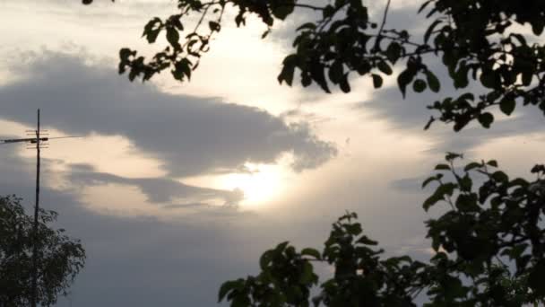 Bulutlu akşam gökyüzünde ağaçların arasında — Stok video