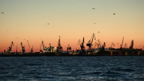 Dock with cranes in the evening — Stock Video