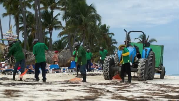 Trabalhadores limpeza praia do mar wrack — Vídeo de Stock