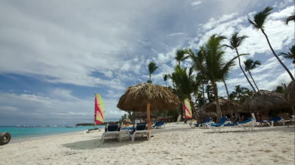 Tropischer Strand mit Liegestühlen und Sonnenschirmen — Stockvideo