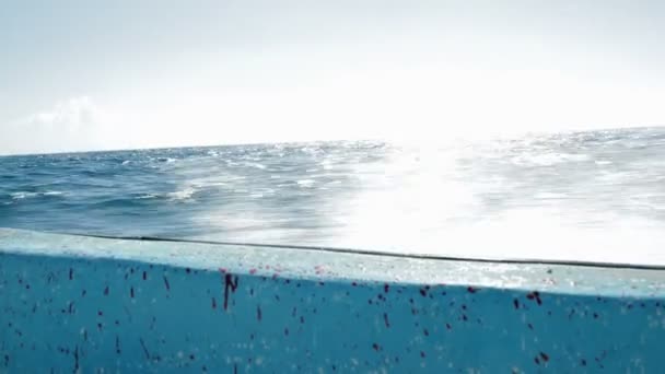 高速の公開した海でのモーター ボートに乗ってセーリング — ストック動画