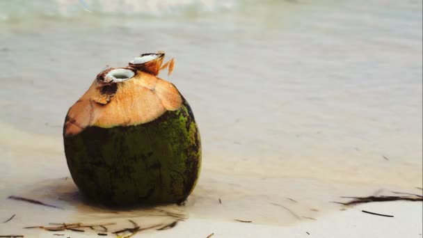 Coco junto al mar con la mano femenina poniendo una paja allí — Vídeos de Stock