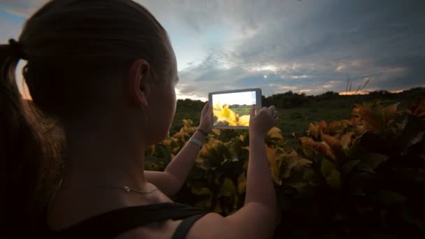 Mulher usando tablet PC para tirar fotos de cenas da natureza — Vídeo de Stock