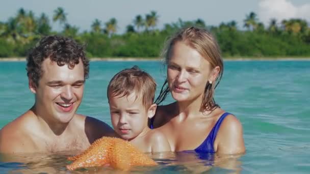 Padres e hijo en agua de mar sosteniendo estrellas de mar — Vídeo de stock