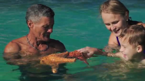 Man weergegeven: toeristen twee grote starfish — Stockvideo