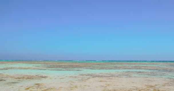 Natuur scène met Zeekust en helder blauwe hemel — Stockvideo