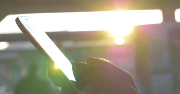 Mãos femininas digitando na célula contra a luz do sol da noite — Vídeo de Stock