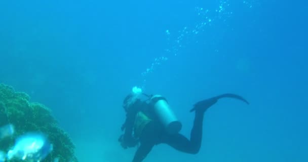 Aqualunger met camera zwemmen onderzeese — Stockvideo