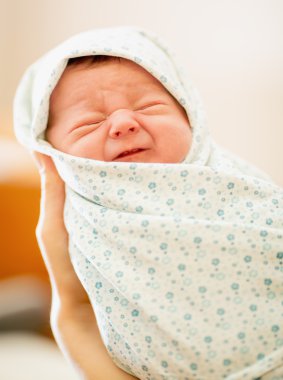 Portrait of Newborn Baby clipart