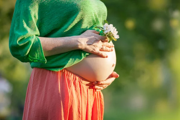 Vientre embarazada desnuda con flor — Foto de Stock