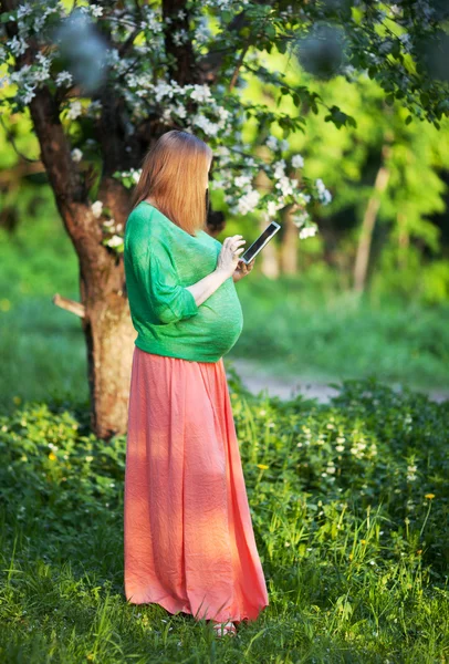 Pregnant woman using tablet PC in green park — Stok fotoğraf