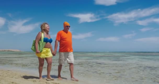 Heureux couple de personnes âgées en vacances d'été — Video