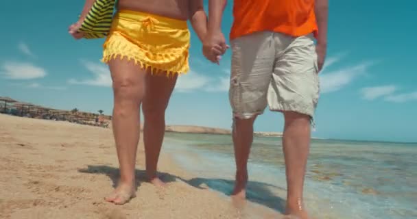 Älteres Paar im Urlaub — Stockvideo
