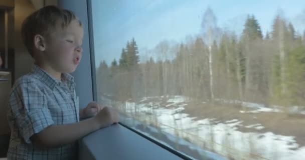Мальчик смотрит на природу через окно поезда — стоковое видео