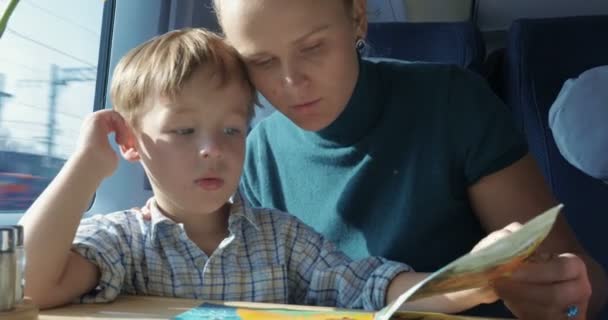 Son and mother with pictured book in train — Stock Video