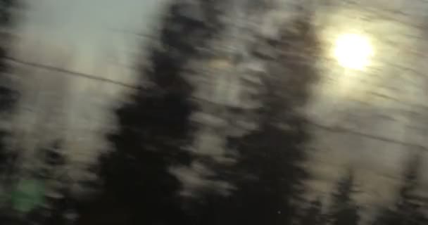 Σκηνή της φύσης με τον ήλιο και τα δέντρα, θέα από το τρένο — Αρχείο Βίντεο