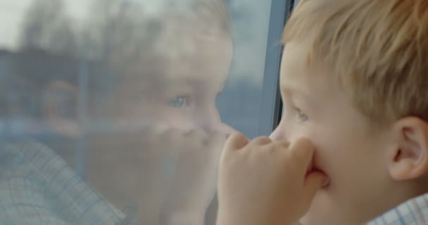 Litet barn som njuter av utsikten från tåg fönstret — Stockvideo
