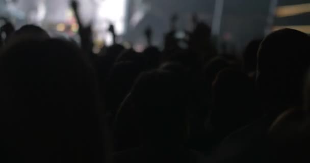 Penonton Menari Penampilan Band Musikal — Stok Video
