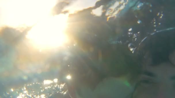 Father teaching son to dive in the pool — Stock Video