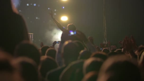 Musical Show Audience — Stock Video