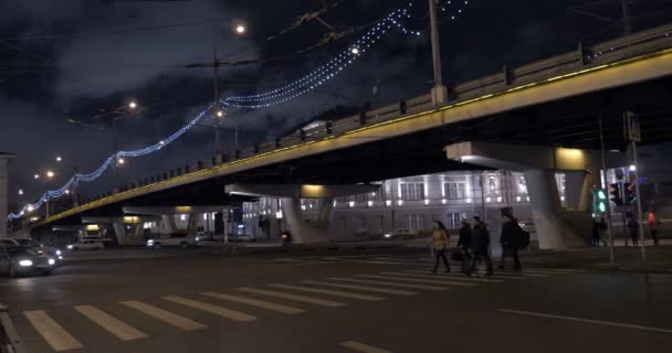 Pedestrians crossing the road on green light — Stock Video