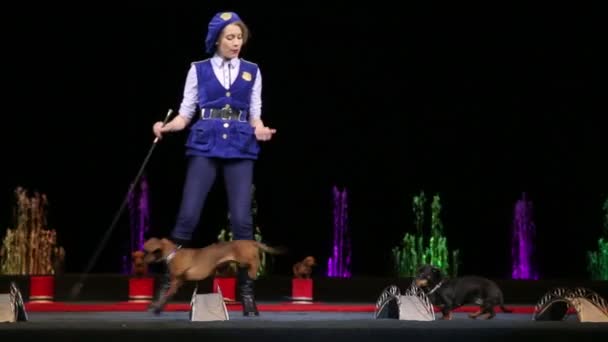 Girl performing with two trained dogs — Stock Video