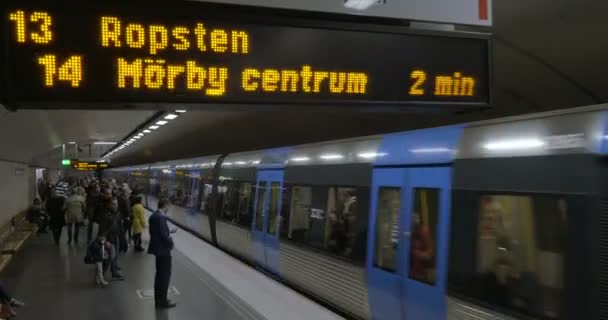 Anländer tåget på underground station — Stockvideo