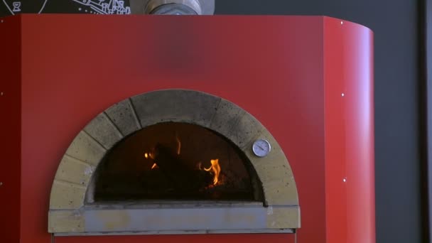 Matlagning pizza i ugnen — Stockvideo