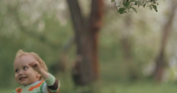 Pequeño niño haciendo esfuerzos para alcanzar la rama del árbol — Vídeo de stock