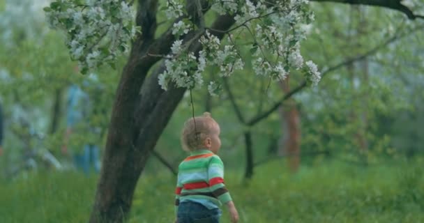 Vuole prendere questi bellissimi fiori. — Video Stock