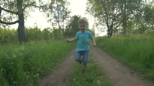 Niño pequeño con red de pala corriendo en el país — Vídeos de Stock