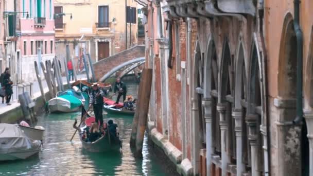 Turismo en góndolas en Venecia, Iltaly — Vídeos de Stock