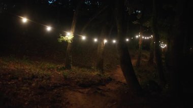 Aydınlatılmış sicim ışıkları gece ormanlarında ağaçlık patikalarda yayılıyor.
