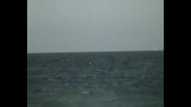 VHS 90 'larda uçan martı ufkuyla en az sakin deniz manzarası analog doku ve nostaljik lo-fi atmosferi ile estetik.