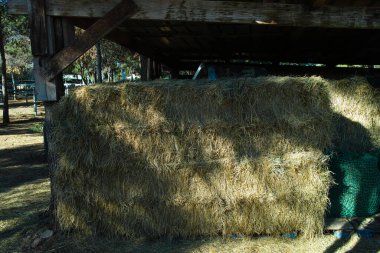 Orman bölgesindeki ahşap kulübenin altında saklanmış dikdörtgen saman balyaları.