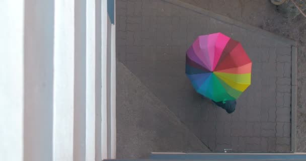 Pěší zvraty barevný deštník — Stock video