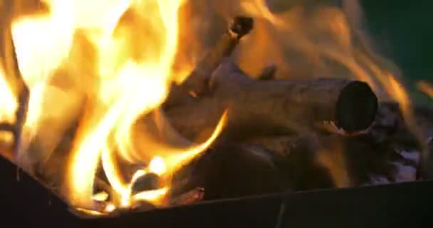 在夜晚的篝火的火焰 — 图库视频影像