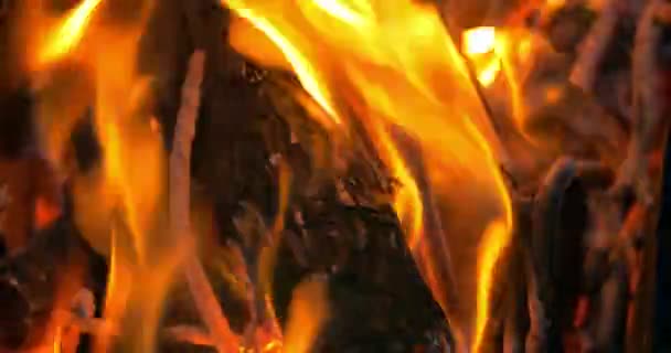 Houten Log on Fire — Stockvideo